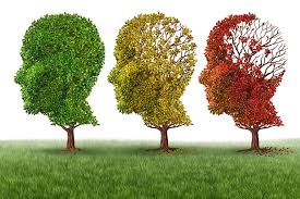 The Five Different Types of Dementia